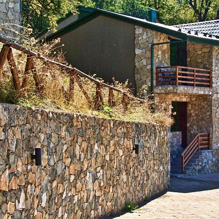 Dilijan Villa 12 Extérieur photo